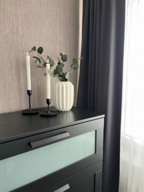 Vienibas apartment